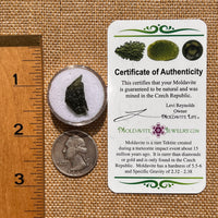 Moldavite 1.4 grams #2068-Moldavite Life