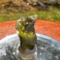 Moldavite 1.4 grams #2068-Moldavite Life
