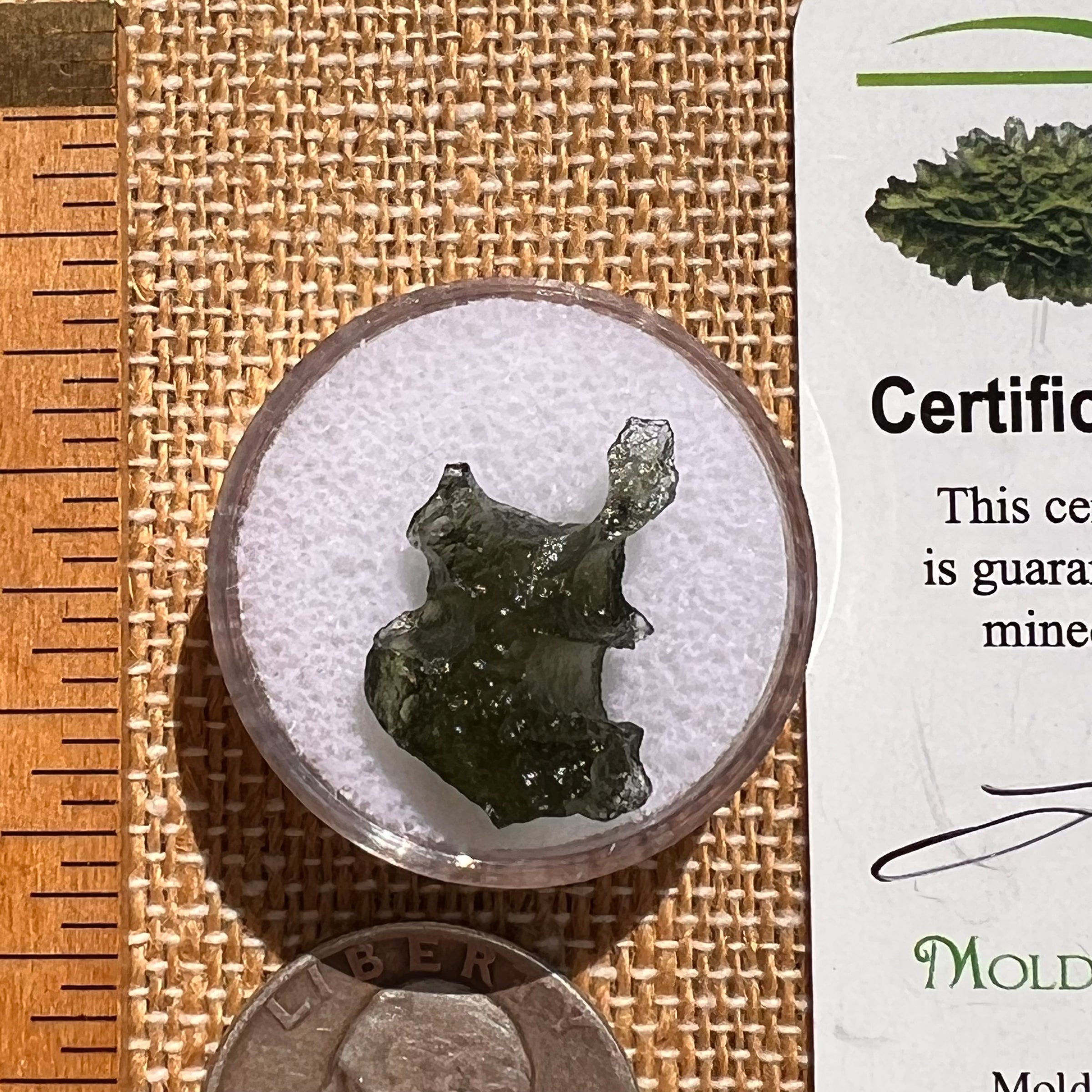 Moldavite 1.4 grams #2092-Moldavite Life