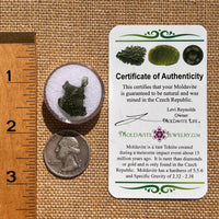 Moldavite 1.4 grams #2092-Moldavite Life