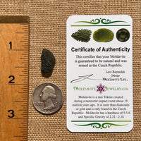 Moldavite 1.5 grams #1680-Moldavite Life