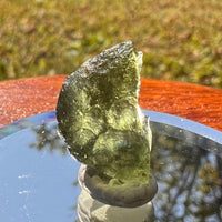 Moldavite 1.5 grams #1726-Moldavite Life