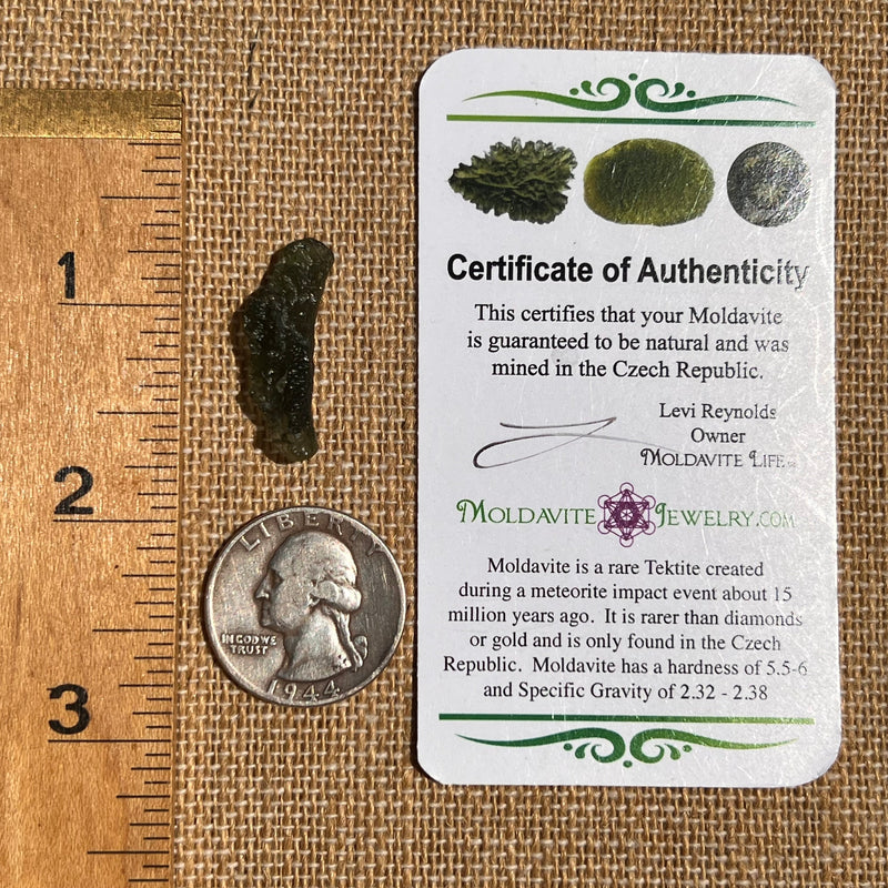 Moldavite 1.5 grams #1821-Moldavite Life