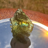 Moldavite 1.5 grams #1846-Moldavite Life