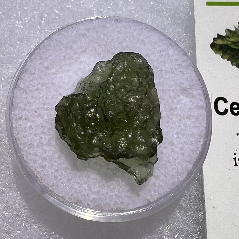 Moldavite 1.5 grams #1853-Moldavite Life