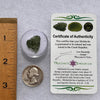 Moldavite 1.5 grams #1853-Moldavite Life