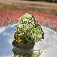 Moldavite 1.5 grams #1853-Moldavite Life