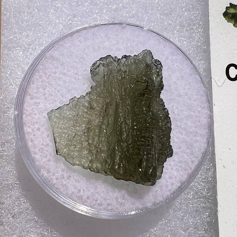 Moldavite 1.5 grams #1855-Moldavite Life