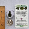 Moldavite 1.5 grams #1865-Moldavite Life