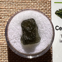 Moldavite 1.5 grams #1918-Moldavite Life
