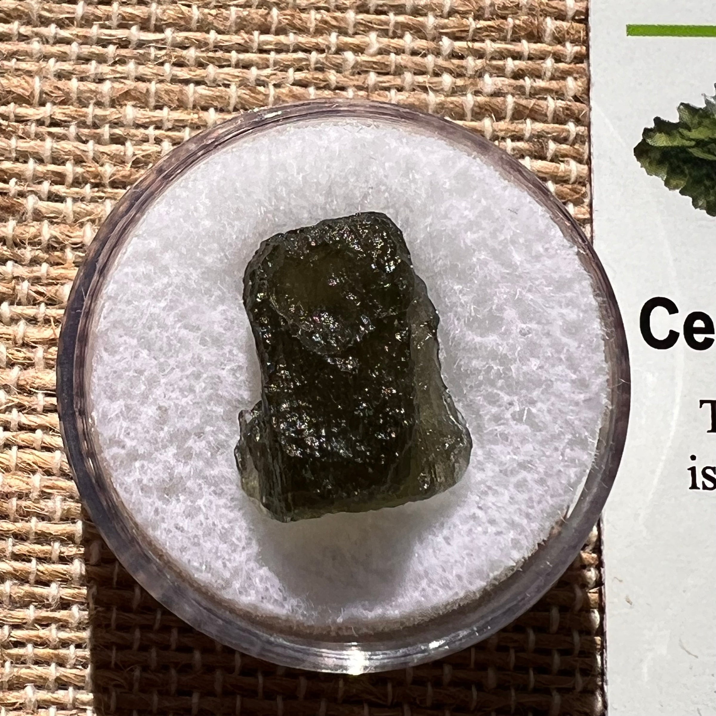 Moldavite 1.5 grams #1918-Moldavite Life