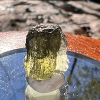 Moldavite 1.5 grams #1918-Moldavite Life