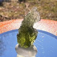 Moldavite 1.5 grams #1961-Moldavite Life