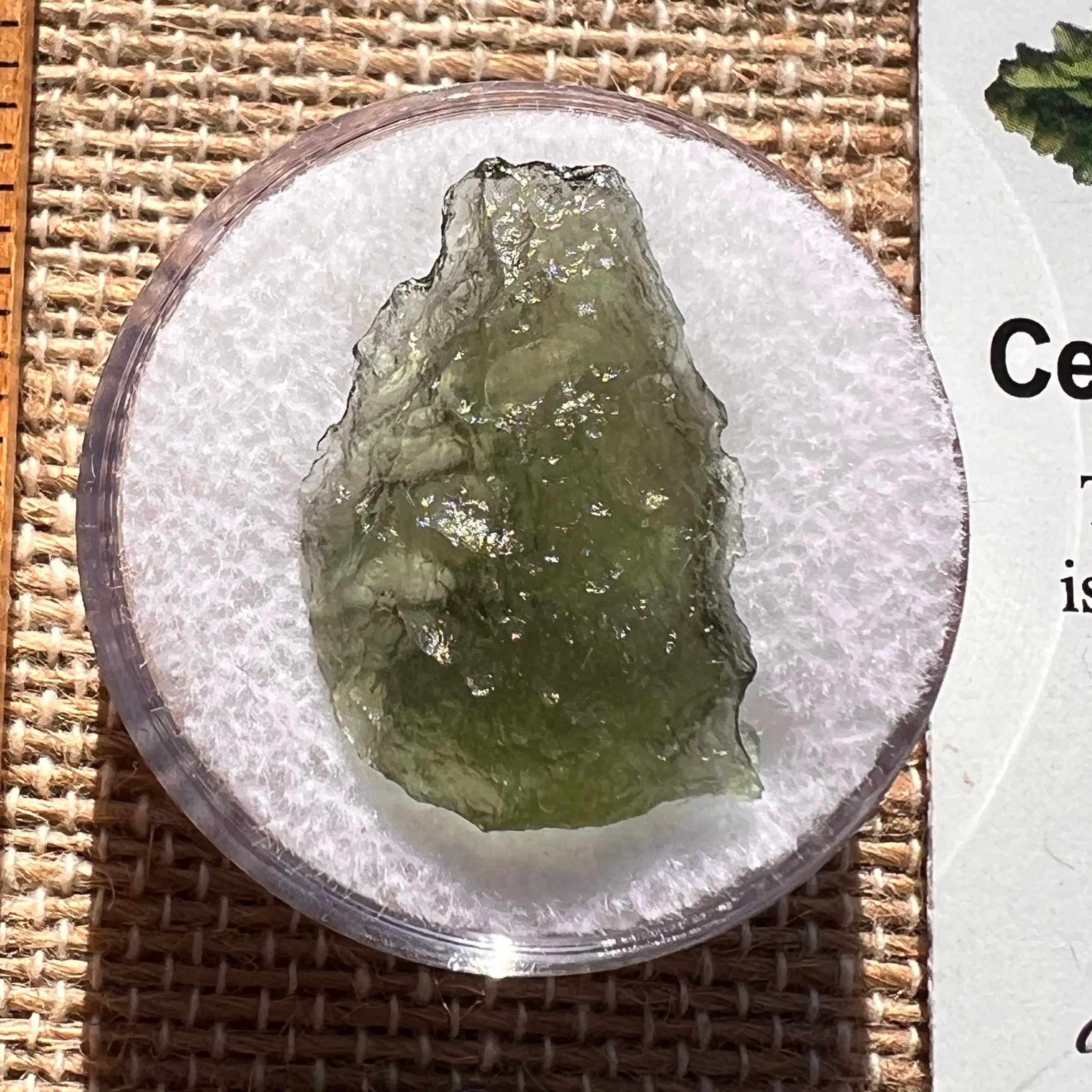 Moldavite 1.5 grams #1963-Moldavite Life