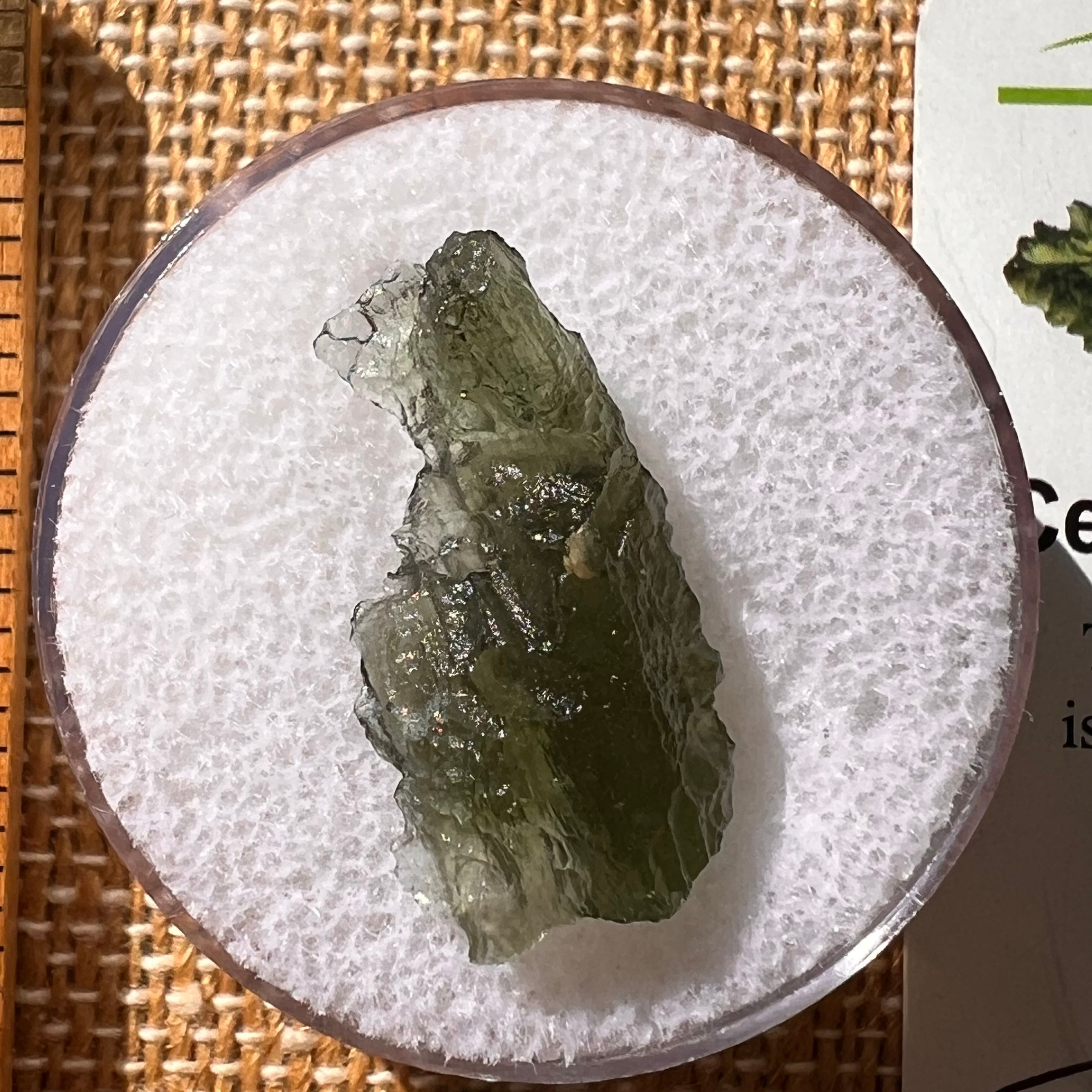 Moldavite 1.5 grams #2114-Moldavite Life