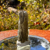 Moldavite 1.5 grams #2223-Moldavite Life
