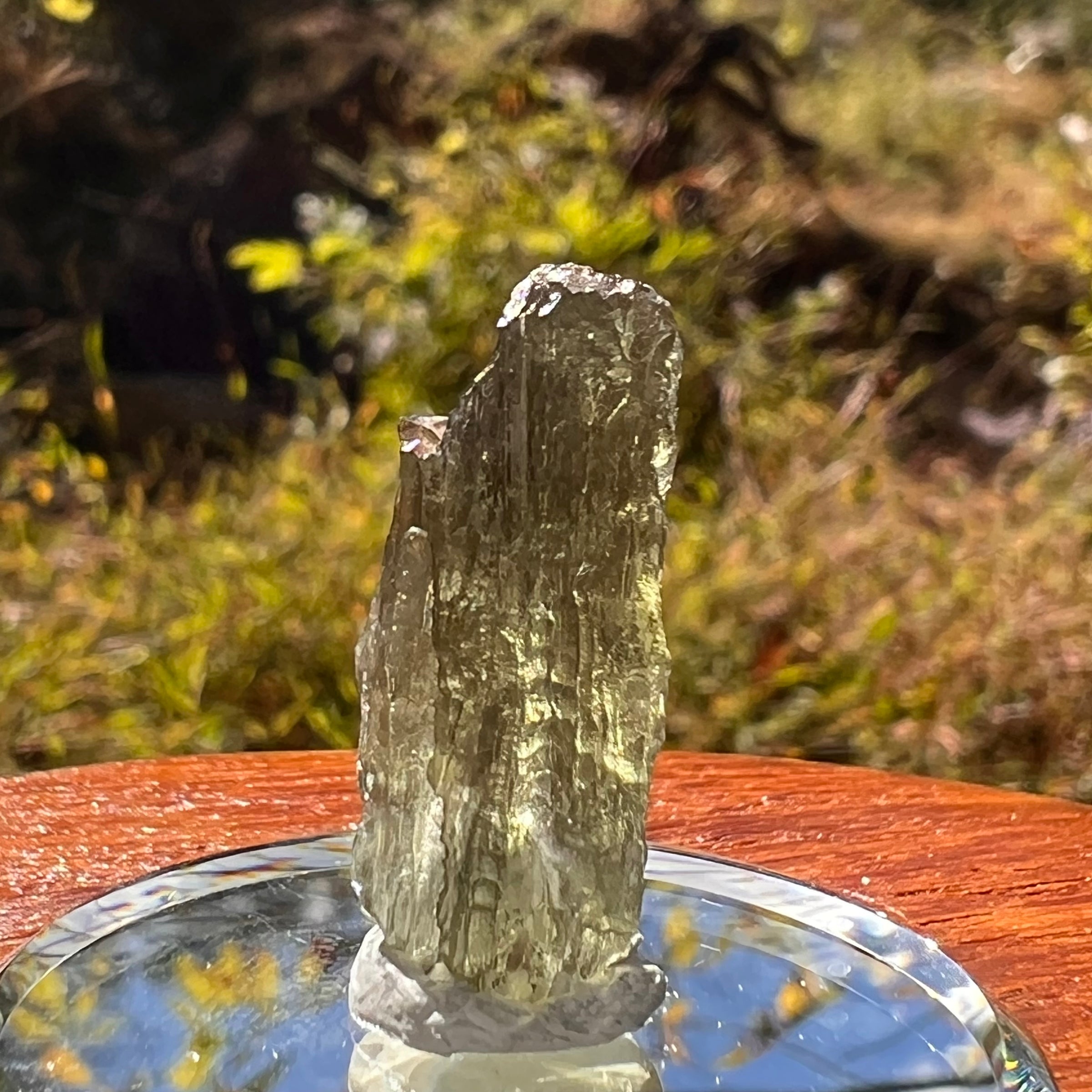 Moldavite 1.5 grams #2251-Moldavite Life