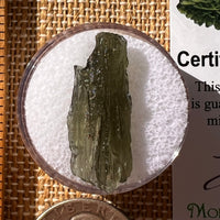 Moldavite 1.5 grams #2251-Moldavite Life