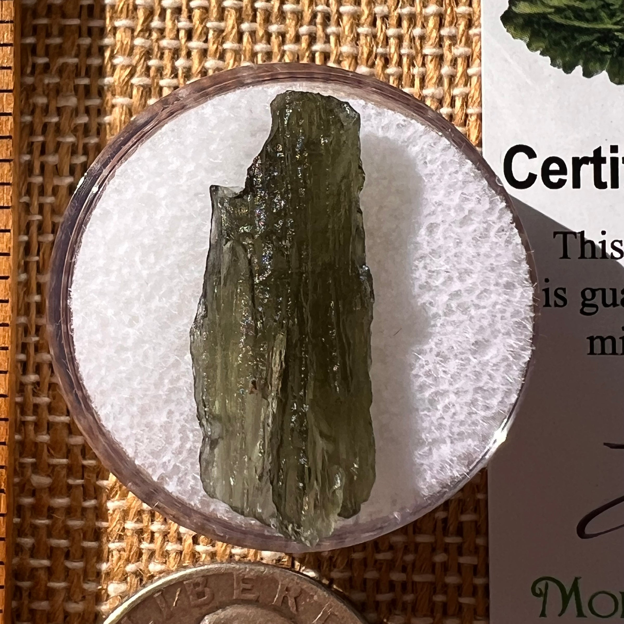Moldavite 1.5 grams #2251-Moldavite Life