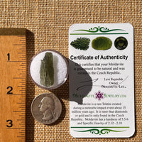 Moldavite 1.5 grams #2251-Moldavite Life