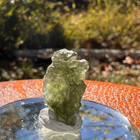Moldavite 1.5 grams #2286-Moldavite Life