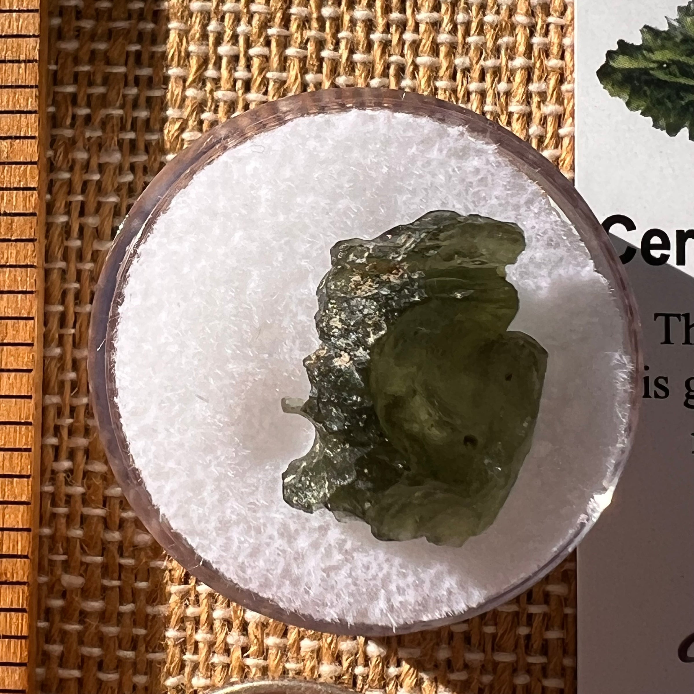 Moldavite 1.5 grams #2286-Moldavite Life