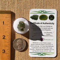 Moldavite 1.5 grams #2286-Moldavite Life