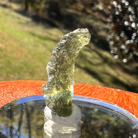 Moldavite 1.5 grams #2363-Moldavite Life