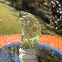Moldavite 1.5 grams #2363-Moldavite Life