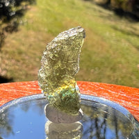 Moldavite 1.5 grams #2363-Moldavite Life