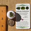 Moldavite 1.6 gram #2272-Moldavite Life