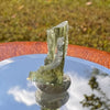 Moldavite 1.6 grams #1697-Moldavite Life