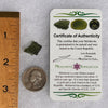 Moldavite 1.6 grams #1722-Moldavite Life