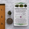 Moldavite 1.6 grams #1757-Moldavite Life