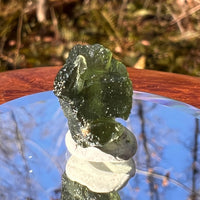 Moldavite 1.6 grams #1768-Moldavite Life