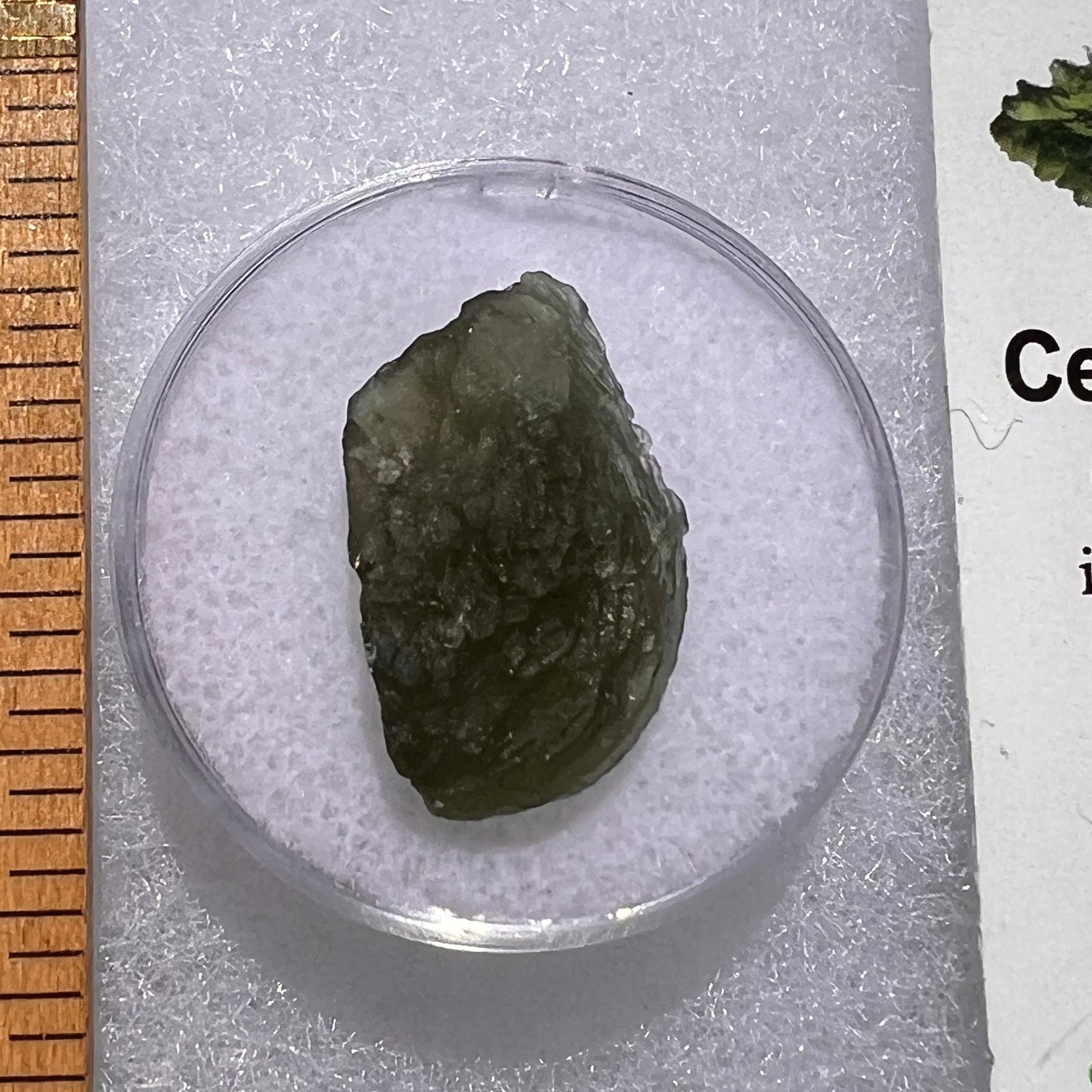 Moldavite 1.6 grams #1849-Moldavite Life