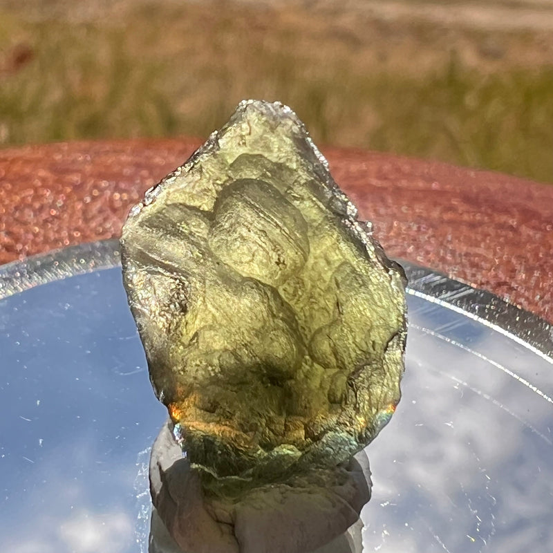 Moldavite 1.6 grams #1849-Moldavite Life