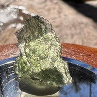 Moldavite 1.6 grams #1908-Moldavite Life