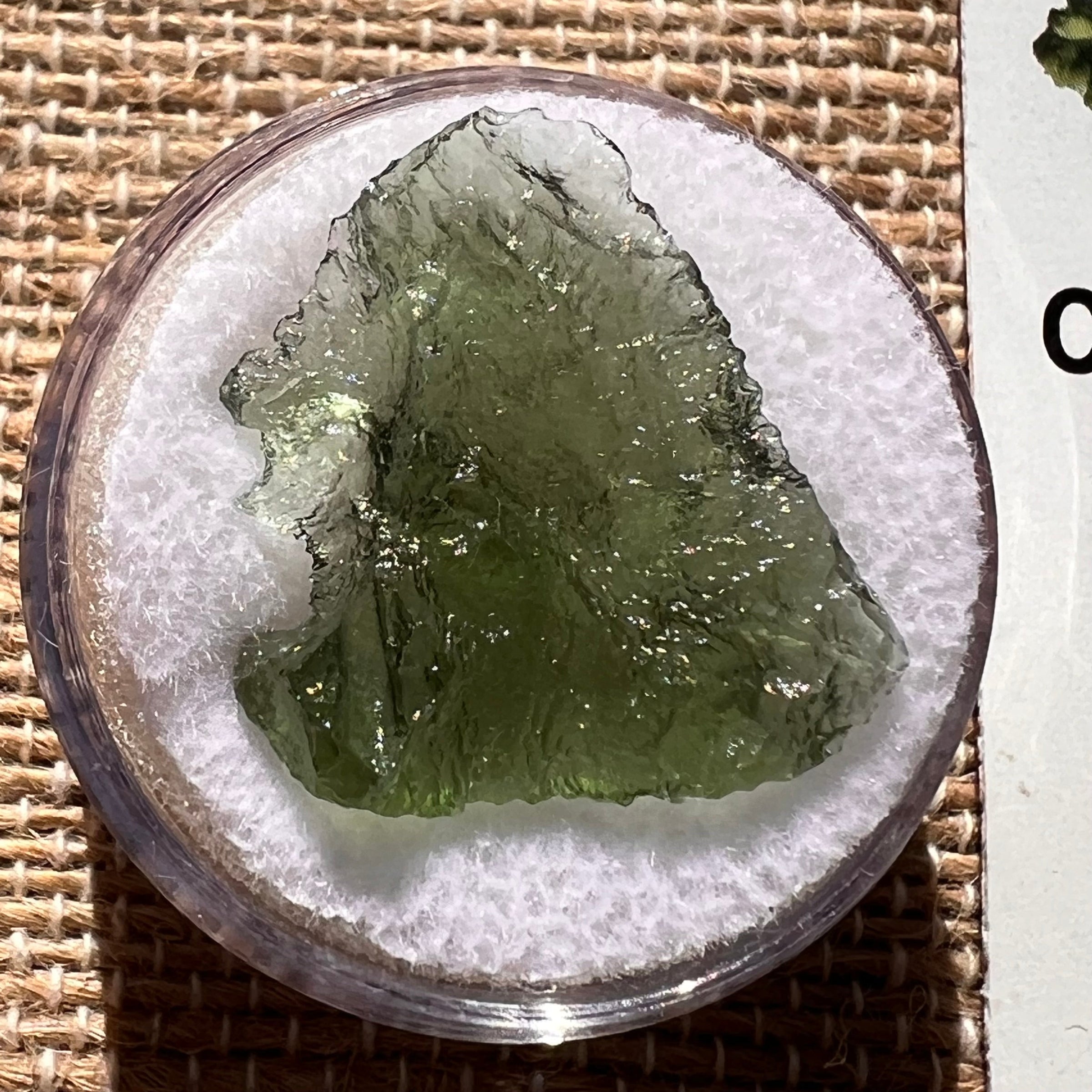 Moldavite 1.6 grams #1908-Moldavite Life