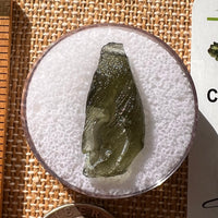 Moldavite 1.6 grams #2128-Moldavite Life