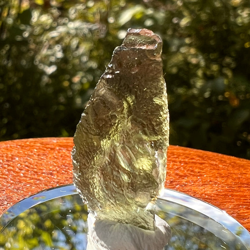 Moldavite 1.6 grams #2128-Moldavite Life
