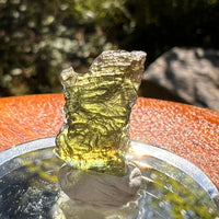 Moldavite 1.6 grams #2142-Moldavite Life