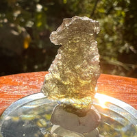 Moldavite 1.6 grams #2157-Moldavite Life