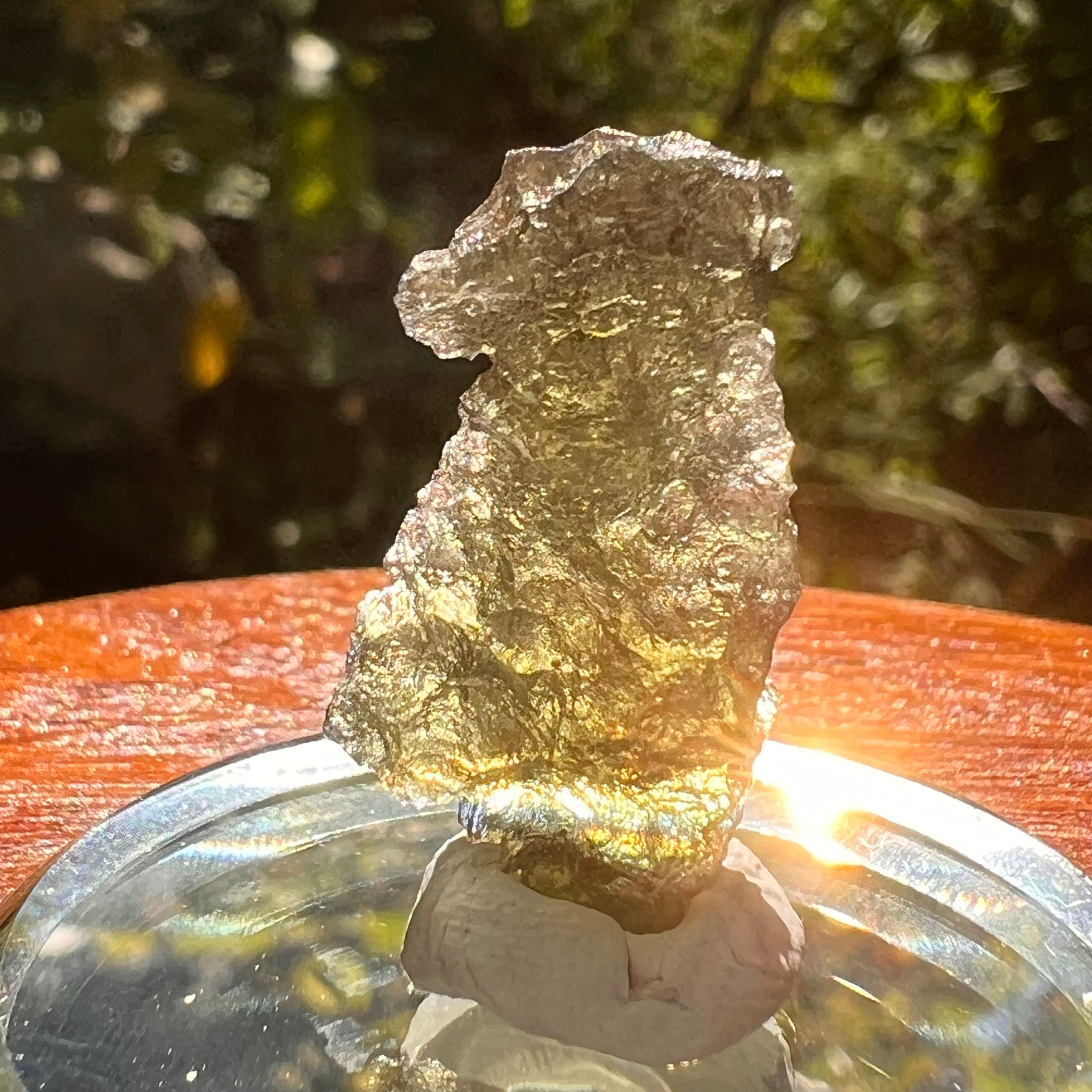Moldavite 1.6 grams #2157-Moldavite Life