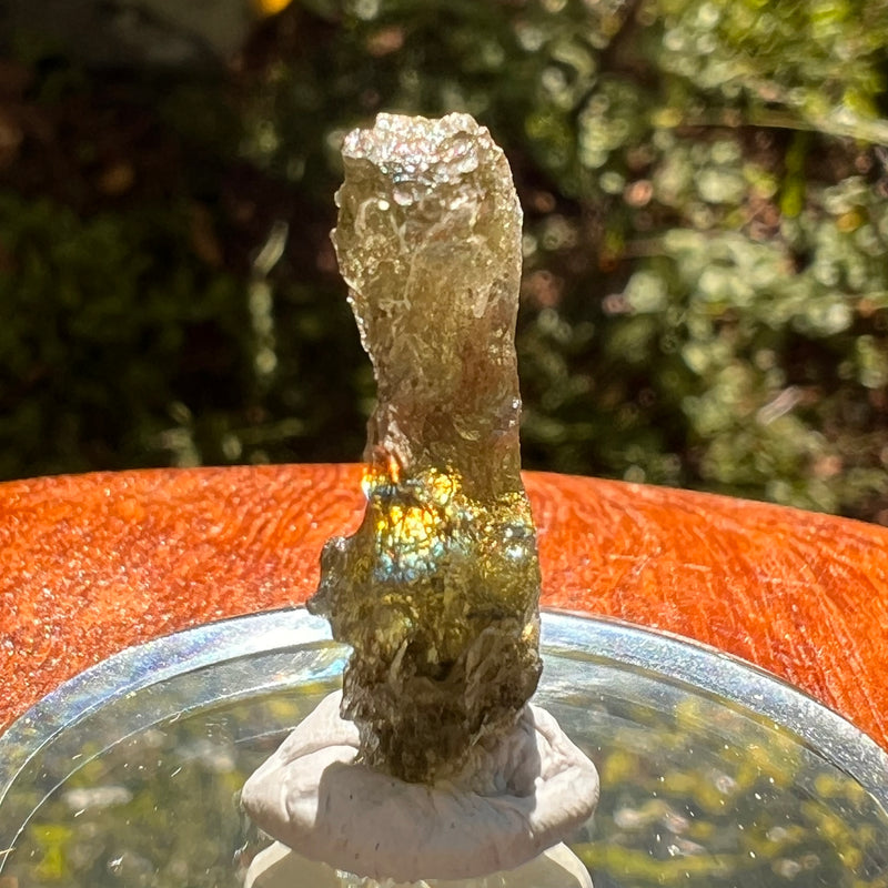 Moldavite 1.6 grams #2157-Moldavite Life