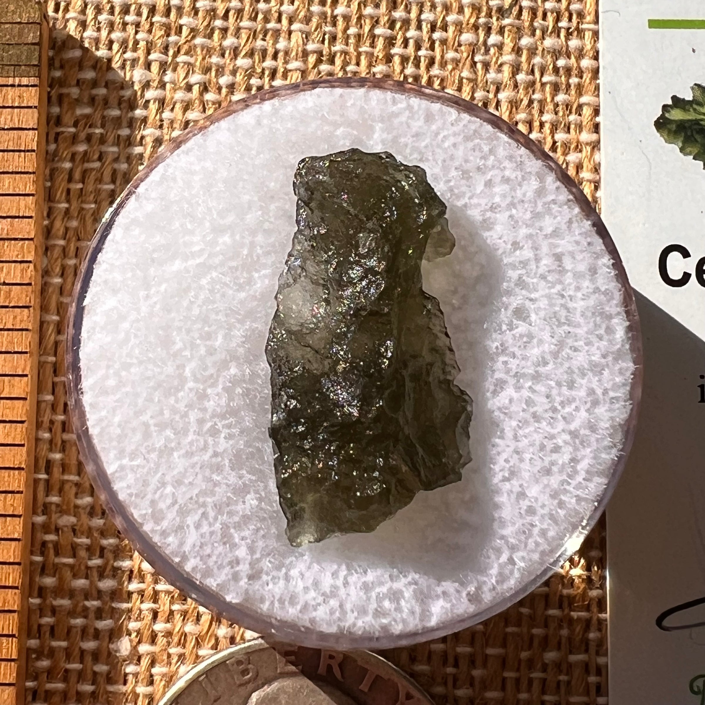 Moldavite 1.6 grams #2157-Moldavite Life