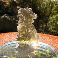 Moldavite 1.6 grams #2157-Moldavite Life