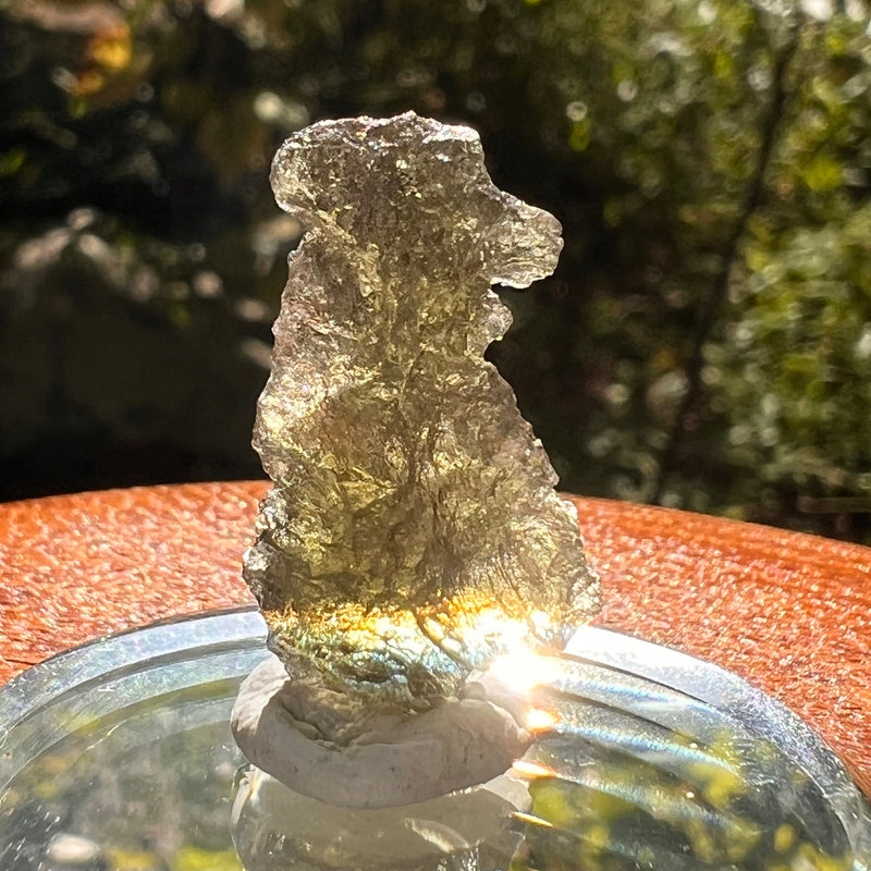 Moldavite 1.6 grams #2157-Moldavite Life