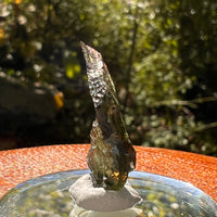 Moldavite 1.6 grams #2158-Moldavite Life