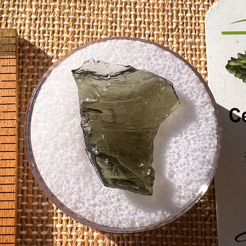 Moldavite 1.6 grams #2158-Moldavite Life